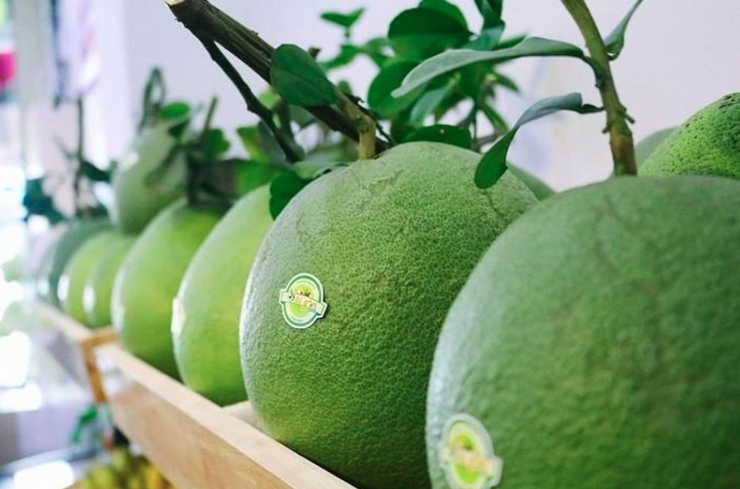 Fresh Vietnamese pomelo hits Lotte Mart shelves in RoK